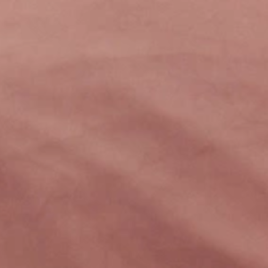 Róż (Magic Velvet 2257)