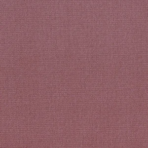 Róż (Kronos 29)