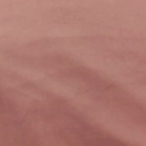 Róż (Magic Velvet 2257)