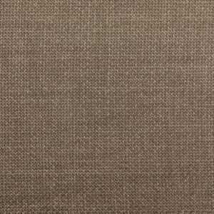 Brązowy (Ottawa 06)