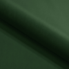 Zielony (Riviera 38)